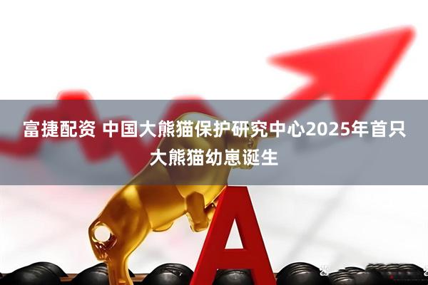 富捷配资 中国大熊猫保护研究中心2025年首只大熊猫幼崽诞生