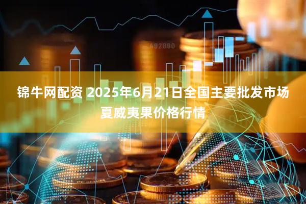 锦牛网配资 2025年6月21日全国主要批发市场夏威夷果价格行情